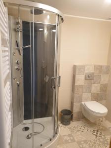 a bathroom with a shower and a toilet at Gîte L'échappée Bleue in Saint-Germain-du-Plain +3 photos