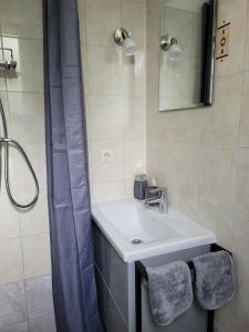 a bathroom with a white sink and a shower at Apartamenti HUGO in Valmiera +19 photos