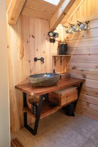 a bathroom with a sink on a wooden wall at Apartments Rožič Bohinj in Bohinj +81 photos