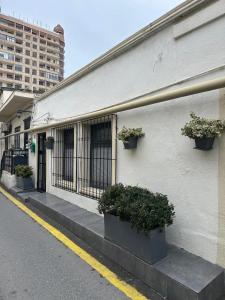 a white building with potted plants on the side of it at White Apartment in Baku