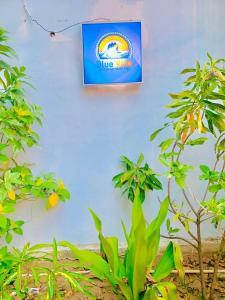 a blue wall with a blue sign on it at Blue Vibe in Arugam Bay