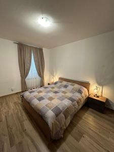 a bedroom with a large bed and a window at Casa Cianetta in San Dorligo della Valle