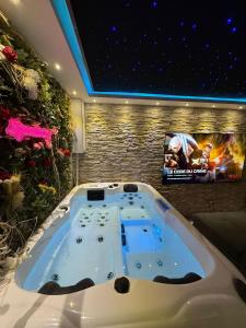 a jacuzzi tub in a room with a tv at Maison avec spa in Maisdon-sur-Sèvre