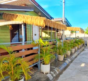 a row of potted plants in front of a building at Olango Island - S&E-2 Tiny Guest House Fully Furnished with Hot Shower, Washer, Wi-Fi, Netflix & King-size Bed in Lapu Lapu City