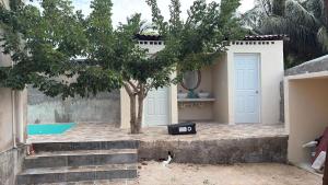 a cat sitting in front of a garage with a tree at Flamingos Paraiso Chabihau in Chabihau