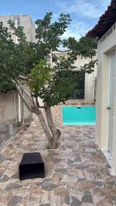 a tree in the courtyard of a house at Flamingos Paraiso Chabihau in Chabihau
