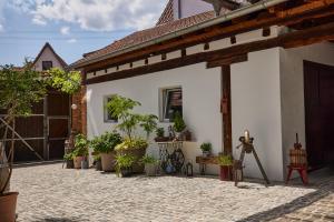 a courtyard with potted plants on the side of a house at Winzerlodge, Wohnung Kirchberg in Gleiszellen-Gleishorbach