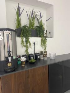 a kitchen counter with potted plants on top of it at הוד והדר in Netanya +5 photos