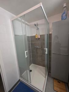 a shower with a glass door in a bathroom at Le petit versaillais in Versailles +11 photos