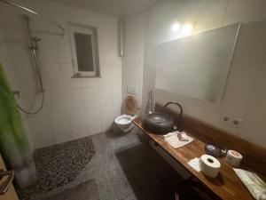 a bathroom with a sink and a toilet and a mirror at Bauernhof Privatzimmer Free WiFi Gemeinschaftsbad in Hausbreitenbach