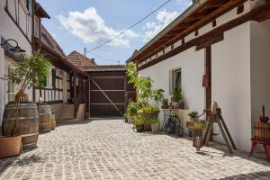 a courtyard of a house with potted plants at Winzerlodge, Wohnung Hatzelberg in Gleiszellen-Gleishorbach