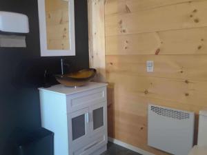 a bathroom with a sink and a wooden wall at #6 La Taniere du Renard in Saint-Onésime +7 photos
