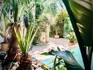 a bunch of plants in a garden with a pineapple at Unique House with private swimming pool by the sea - AFRA GROUP in Sopot