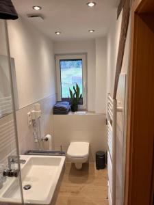 a bathroom with a toilet and a sink and a window at Gästehaus Maria Brinkhus in Schonach +14 photos