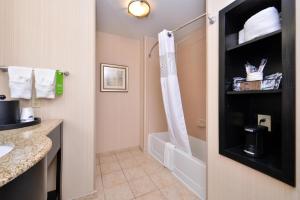a bathroom with a shower and a sink at Hampton Inn Pecos in Pecos