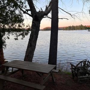a picnic table and a bench next to a lake at Terrawoods Pine Cottage in Parry Sound +3 photos