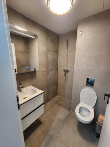 a bathroom with a toilet and a sink at Luxury apartment Avanera in Suceava +36 photos