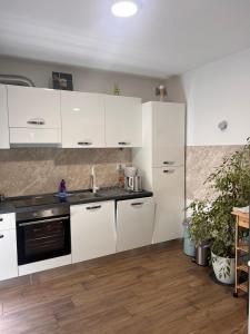 a kitchen with white cabinets and a counter top at Apartman Karmen in Brodarica