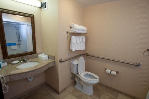 a bathroom with a toilet and a sink and a mirror at Hampton Inn Oneonta in Oneonta +23 photos