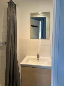 a bathroom with a sink and a mirror at Studio à 350m de la gare in Tours