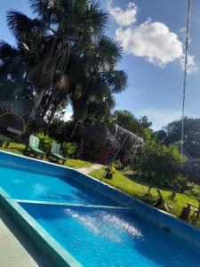 a blue swimming pool with palm trees in the background at Amazon Macambo Lodge in Iquitos
