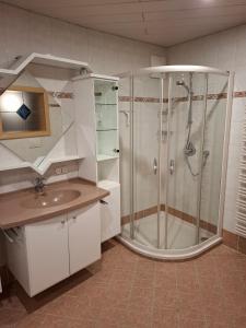 a bathroom with a shower and a sink at Haus Nadegger in Werfen +23 photos