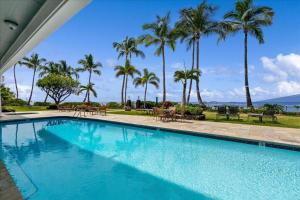 a swimming pool with palm trees in the background at Lahaina203 in Lahaina