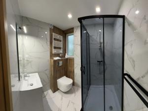 a bathroom with a shower and a toilet and a sink at Stara Palmiarnia Mimoza in Rybnik