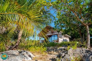 a house on the beach with a palm tree at Ny Fano Kite Lodge in Ivovona