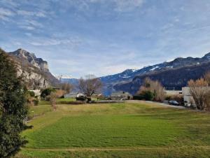 a large grass field with mountains in the background at Lakeview-Apartment - Komplette Wohnung mit Seeblick an ruhiger Lage in Weesen