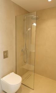 a bathroom with a toilet and a glass shower at Villa Selina 4 - Etheras Properties in Kythira +45 photos