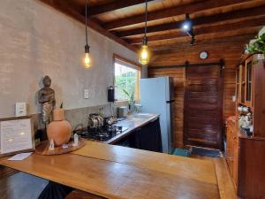 a kitchen with a statue of a woman on a counter at Chalé SZ Pantanal in Cáceres