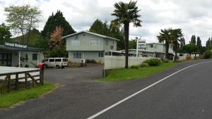 een straat met huizen en een auto op de weg bij Mahoe Motel in Taumarunui