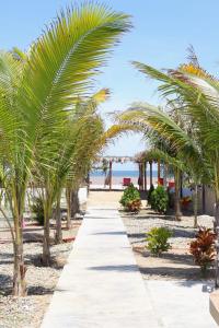 a pathway lined with palm trees on the beach at Amarena Resorts in Bocapán