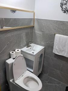 a bathroom with a toilet and a sink at Small's Cozy Rest 9 Efficiency in South Bimini