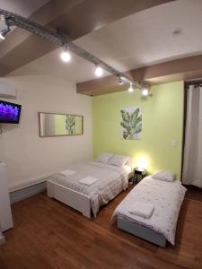 two beds in a room with green walls at Le Thiers Studio in Auxonne