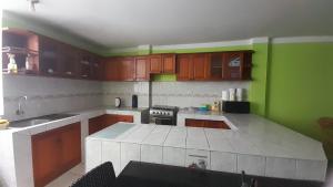 a kitchen with wooden cabinets and a green wall at Kenatural in Cajamarca