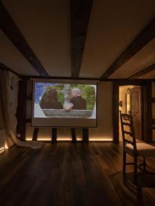 a large flat screen tv in a living room at Panoramic apartment with charming swiss interior in Wädenswil