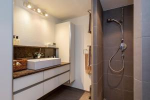 a bathroom with a sink and a shower at Panoramic apartment with charming swiss interior in Wädenswil +29 photos
