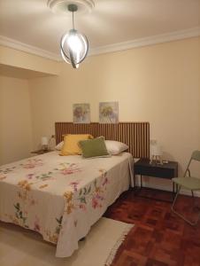 a bedroom with a bed and a lamp at Las Meanas Presbítero 6 in Avilés