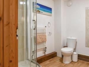 a bathroom with a shower and a toilet at Shire Cottage - Uk50029 in Liskeard