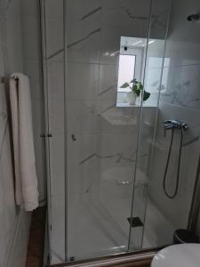 a bathroom with a glass shower with a potted plant at Casa da Canhota in São Mamede +10 photos