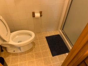 a bathroom with a toilet and a shower at The Upper Room in Milwaukee