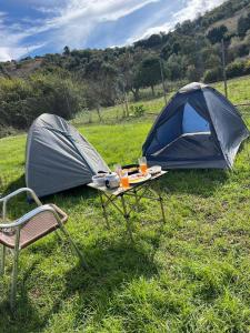 ein Zelt, ein Tisch und ein Stuhl auf einem Feld in der Unterkunft LuxeCabane in Kouf el Fouki + 5 Fotos
