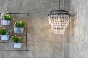 a chandelier hanging from a wall with potted plants at Casa Presentacion Adaz Hotel in Santa Marta