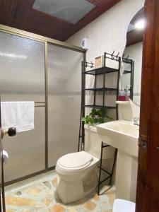 a bathroom with a shower and a toilet and a sink at Hostal Amelia Filandia in Filandia +17 photos
