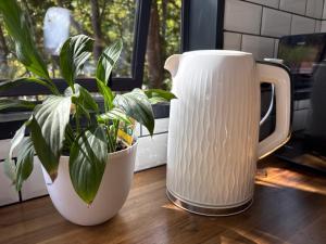 a white jug and a plant on a table at Sun Views Forest yet close to town in Queenstown