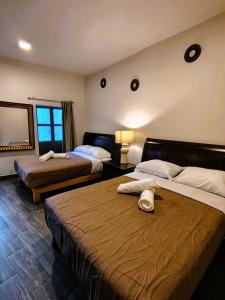 a hotel room with two beds and a window at Balcones de Galarza 24 in Guanajuato