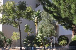 En have udenfor Albufeira Lovely new Apartment W/ Pool