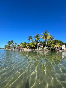 a view of a beach with palm trees and the water at Porto Taipu in Marau